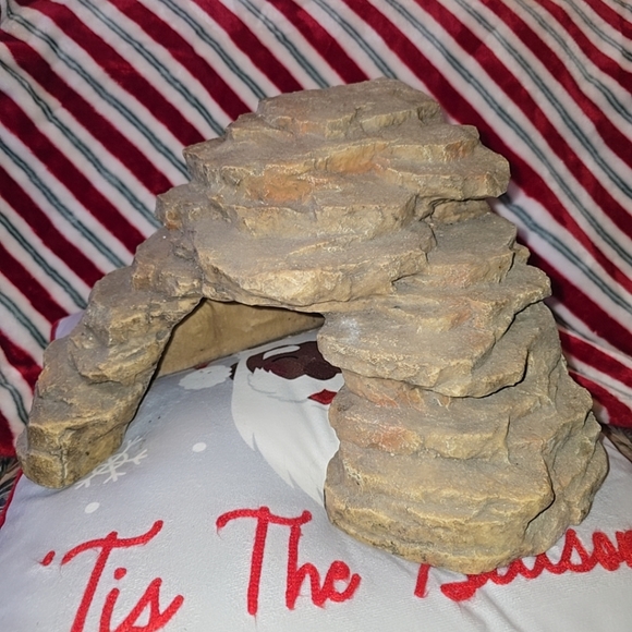 Bearded dragon climbing den - Picture 5 of 5